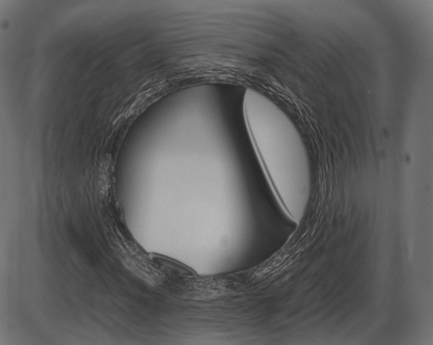 X0000087541012200704270918