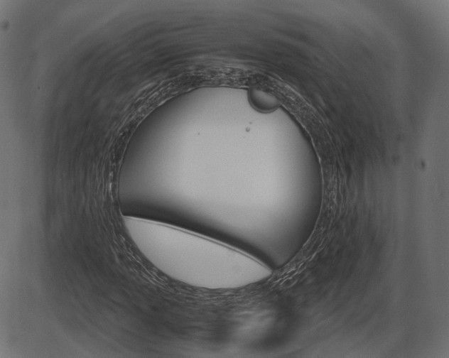 X0000087541013200704270918
