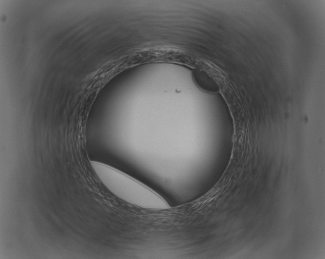 X0000087541014200704270918