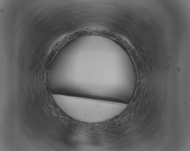 X0000087541016200704270918
