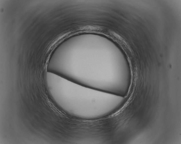 X0000087541017200704270918
