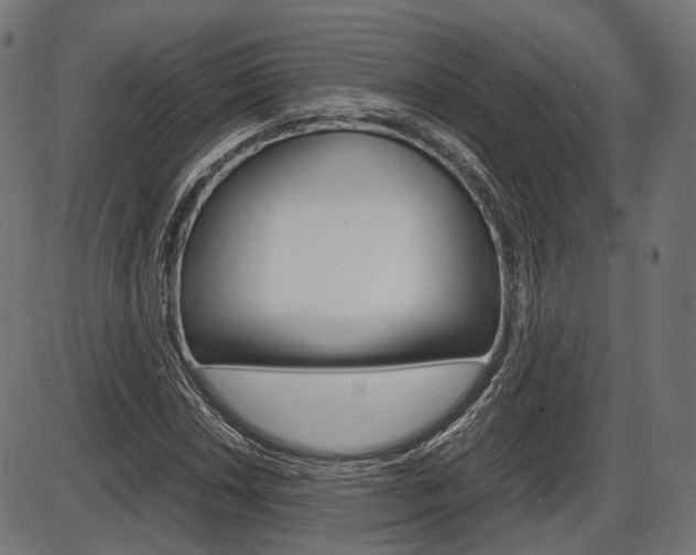 X0000087541018200704270918