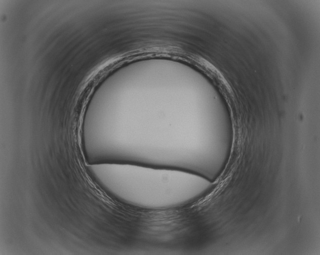 X0000087541019200704270918