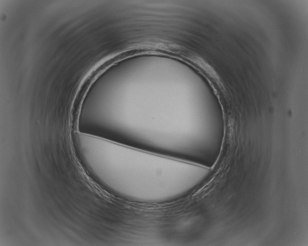 X0000087541020200704270918