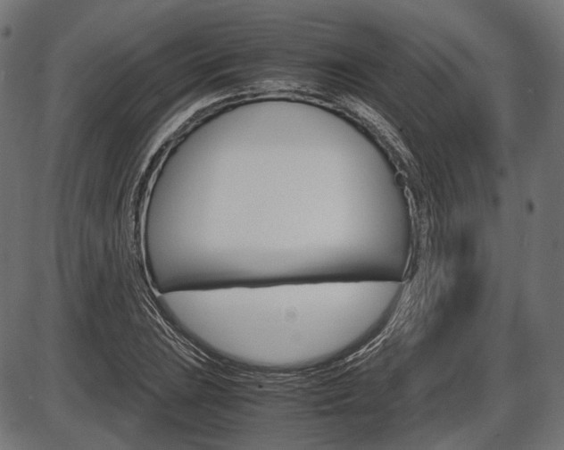 X0000087541023200704270918