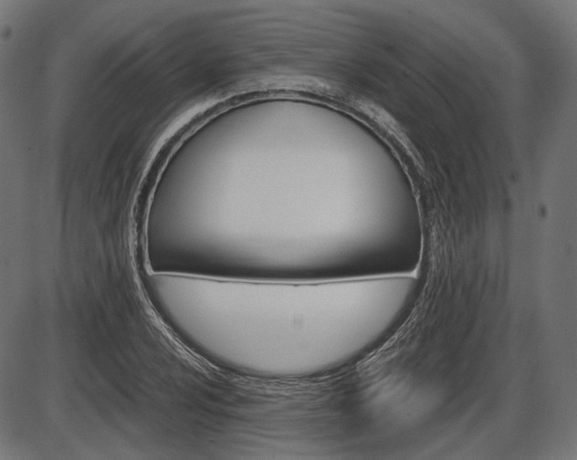 X0000087541024200704270918