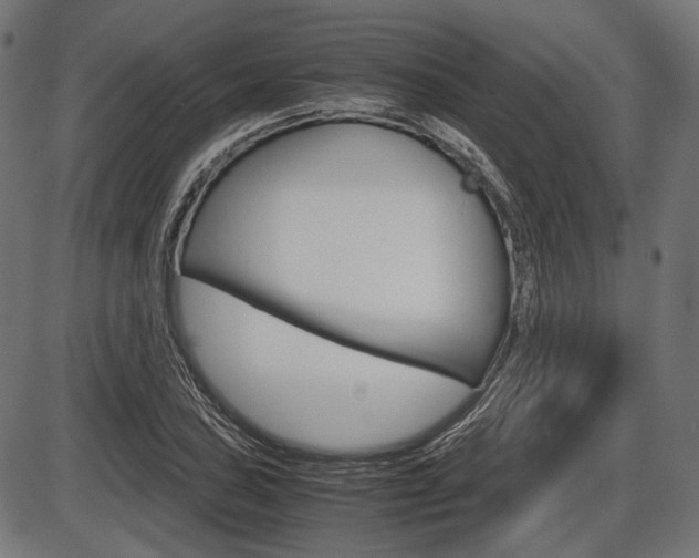 X0000087541027200704270918