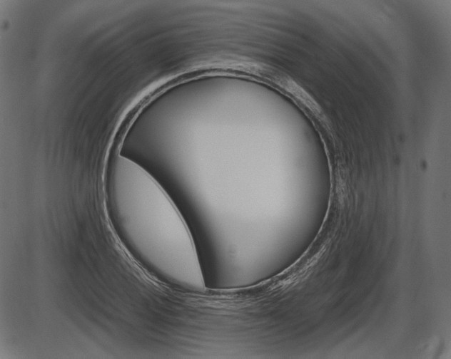 X0000087541028200704270918