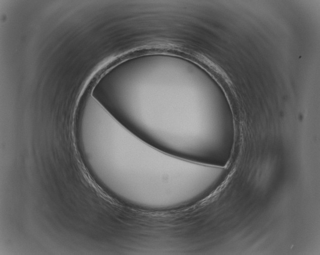 X0000087541029200704270918