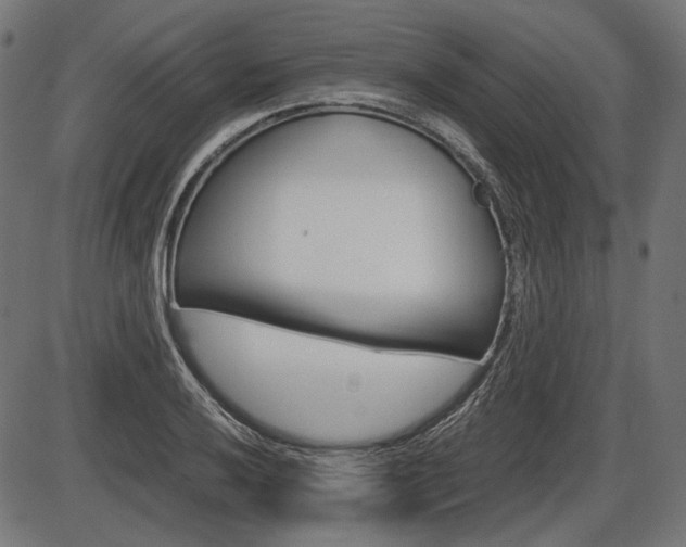 X0000087541032200704270918
