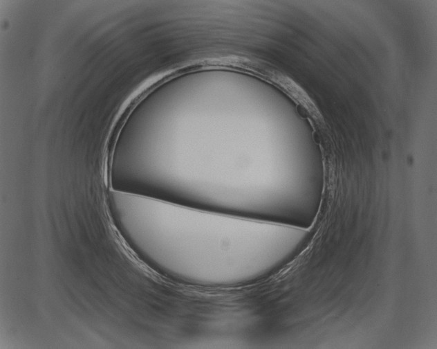 X0000087541036200704270919