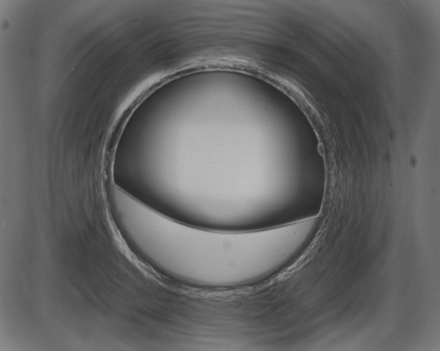 X0000087541038200704270919