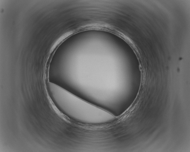 X0000087541042200704270919