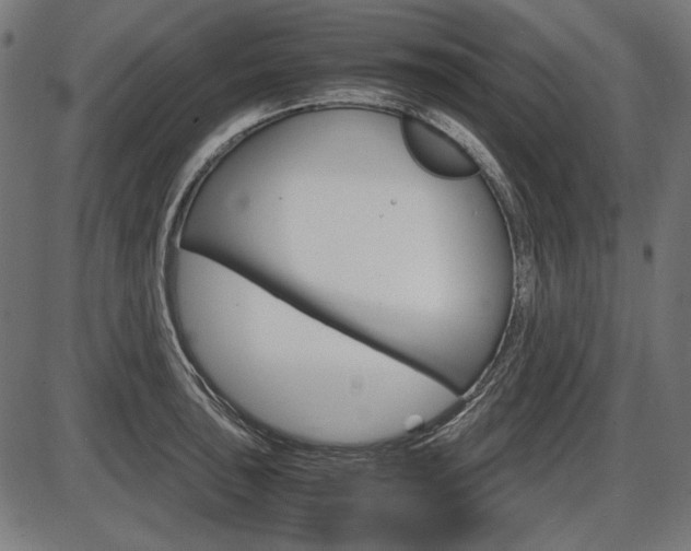 X0000087541043200704270919