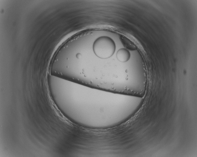 X0000087541044200704270919