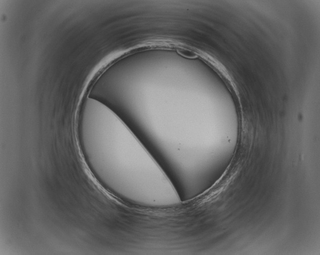 X0000087541045200704270919