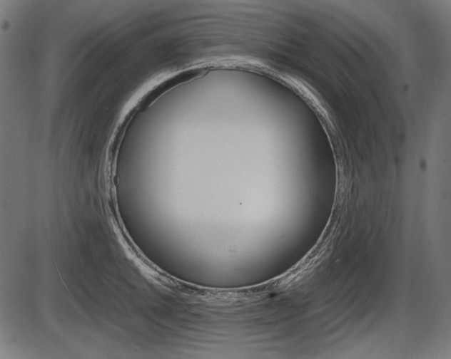 X0000087541046200704270919