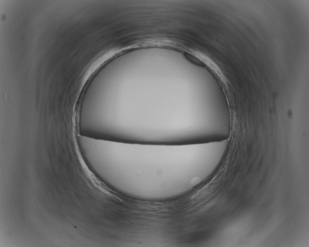 X0000087541047200704270919
