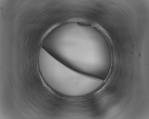 X0000087541049200704270919