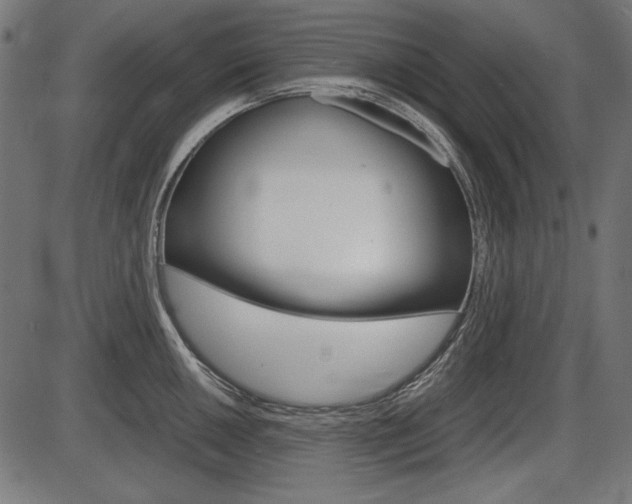 X0000087541050200704270919