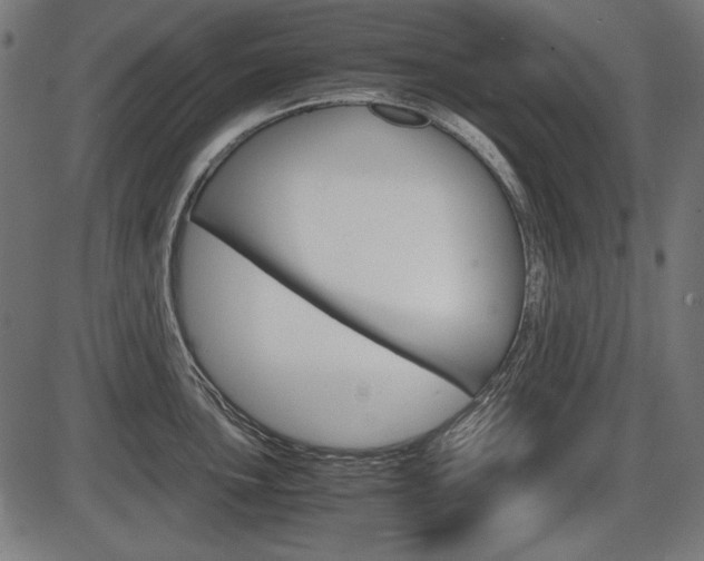 X0000087541051200704270919