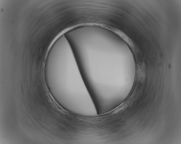 X0000087541052200704270919