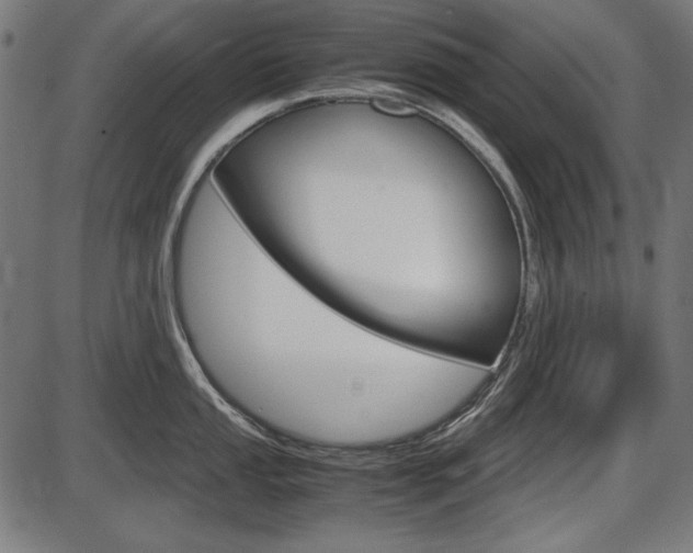 X0000087541053200704270919