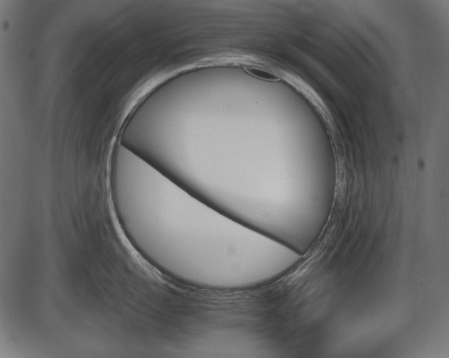 X0000087541055200704270919