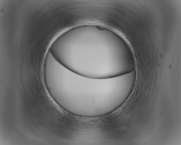 X0000087541056200704270919