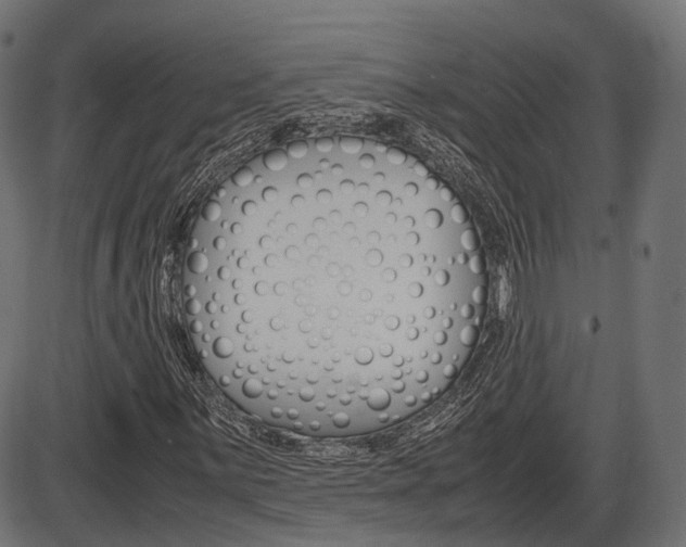 X0000087541059200704270918