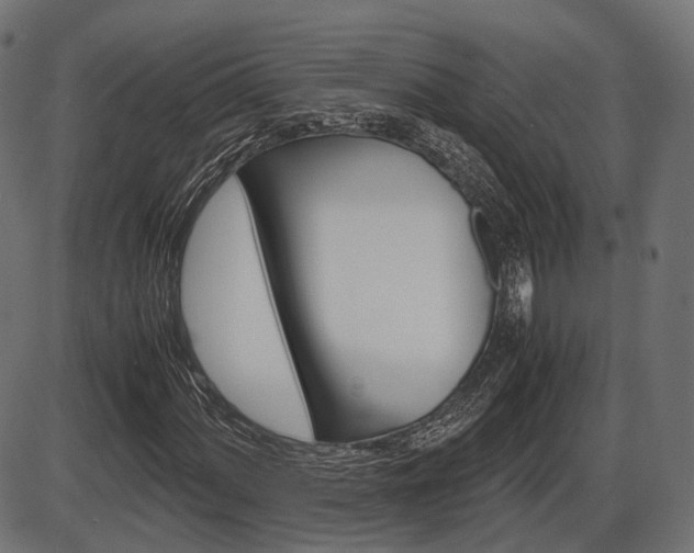 X0000087541060200704270918