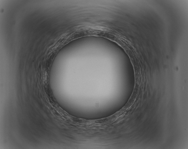 X0000087541061200704270918