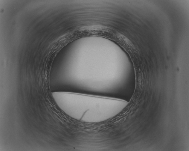 X0000087541062200704270918