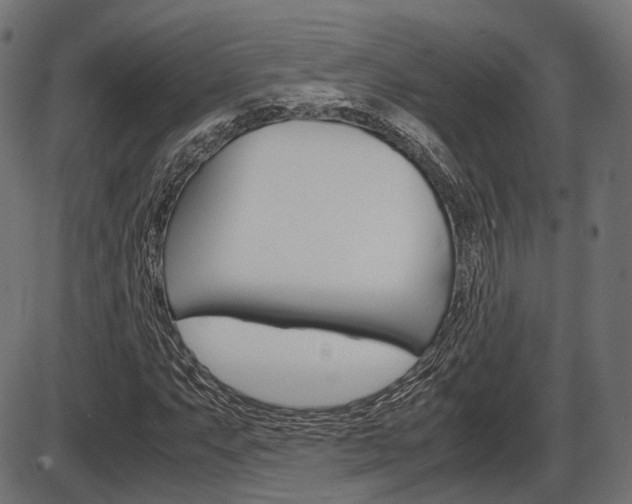 X0000087541063200704270918
