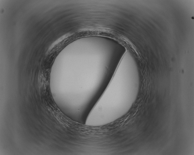 X0000087541064200704270918