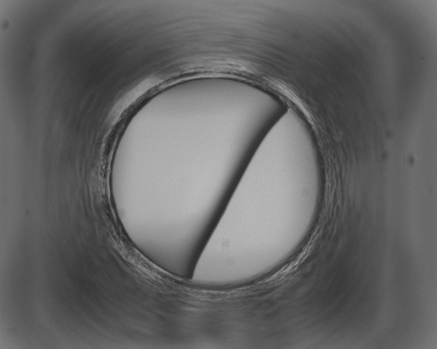 X0000087541071200704270918
