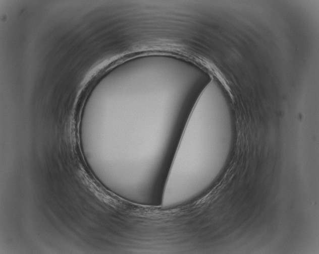 X0000087541072200704270918
