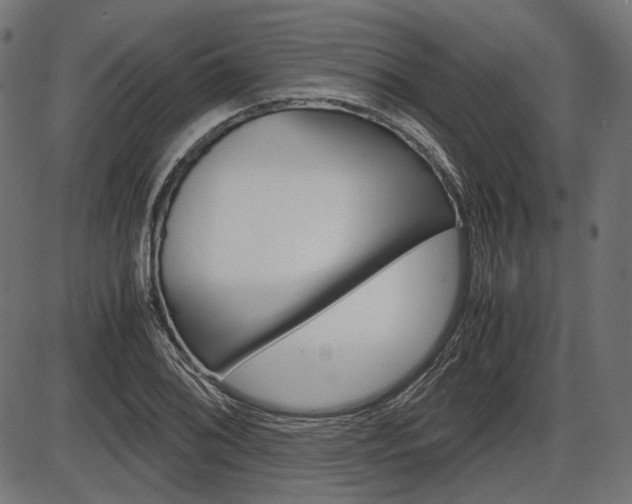 X0000087541076200704270918