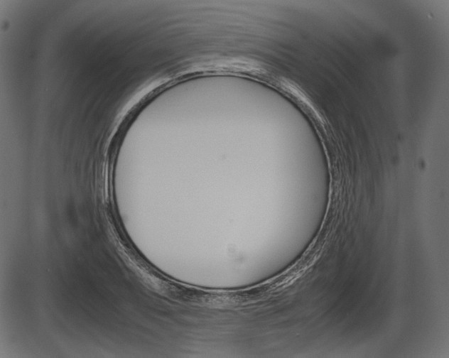 X0000087541079200704270918