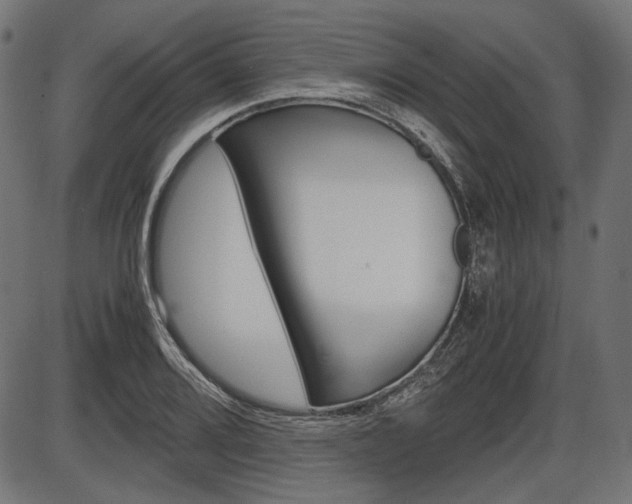 X0000087541080200704270918