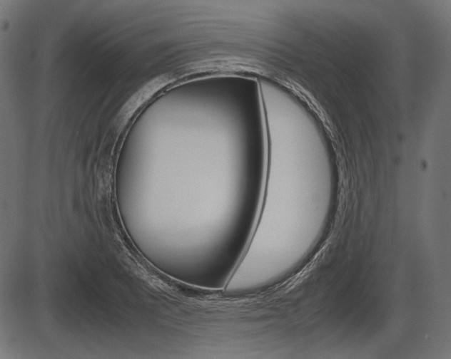 X0000087541081200704270918