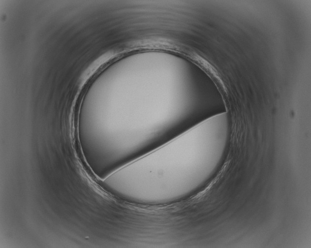 X0000087541082200704270918