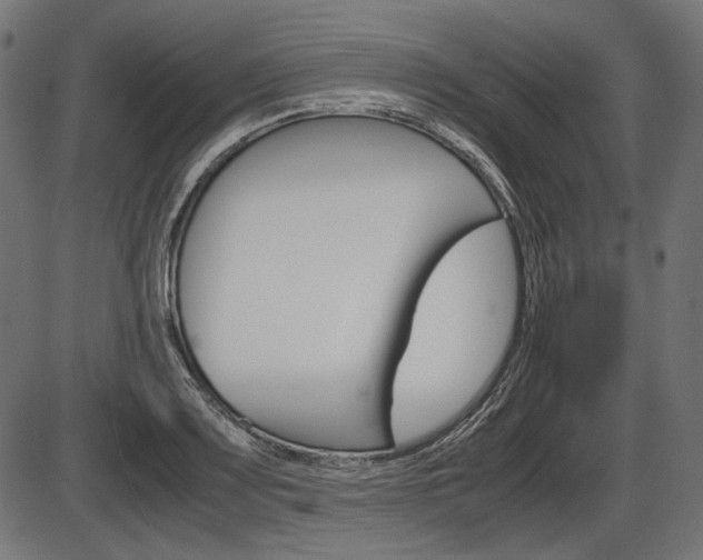 X0000087541083200704270918