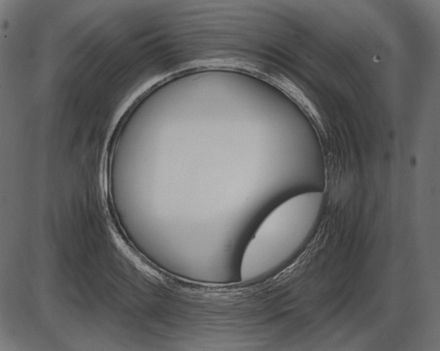 X0000087541084200704270918