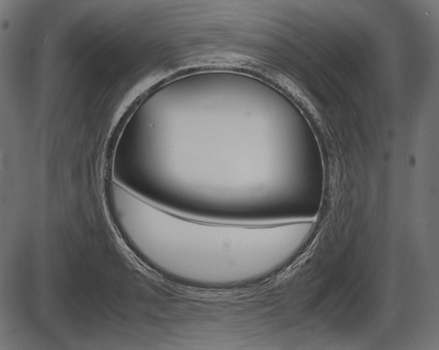 X0000087541085200704270918
