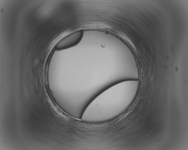 X0000087541087200704270918