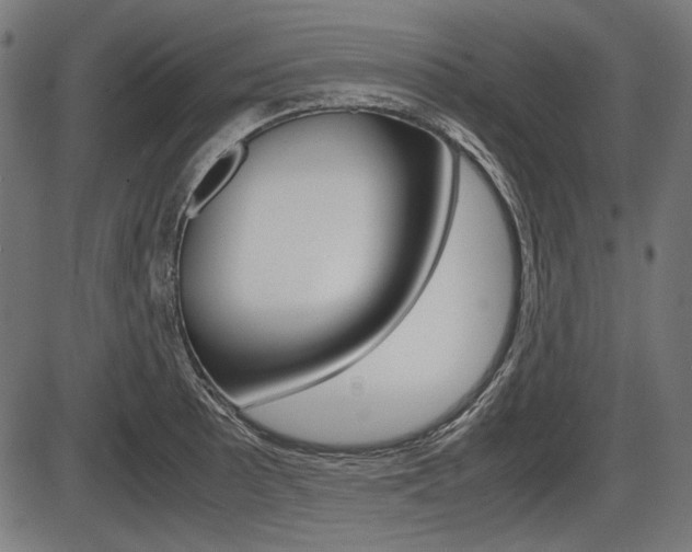 X0000087541089200704270918