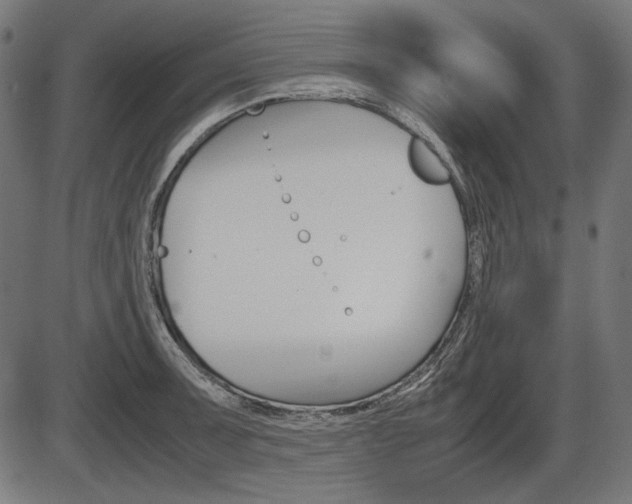 X0000087541091200704270918