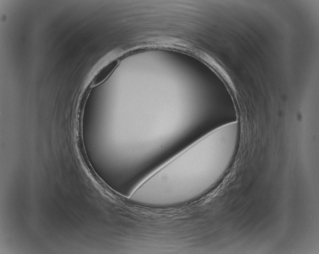 X0000087541093200704270917