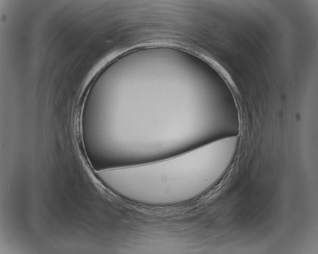 X0000087541101200704270917